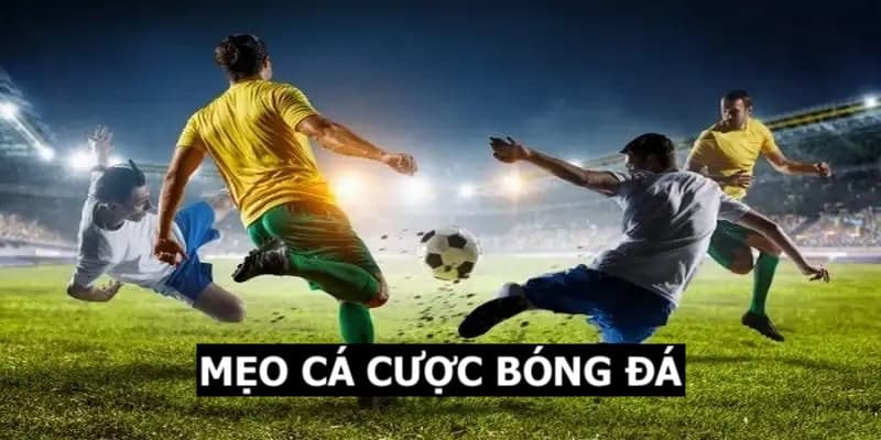 mẹo cá cược thể thao