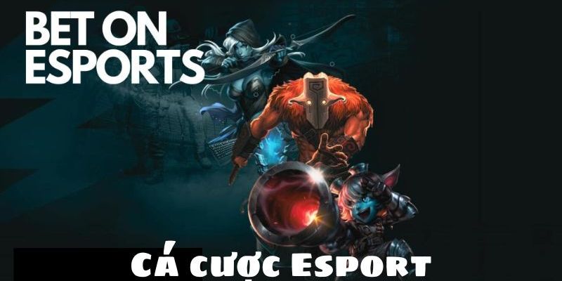 Những thể loại cá cược Esports