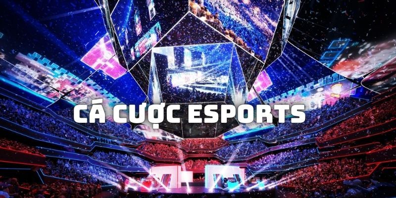 cá cược esports